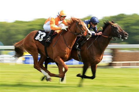 uk fast horse racing results|Horse Racing Results Today: Latest Fast Racing Results In UK.